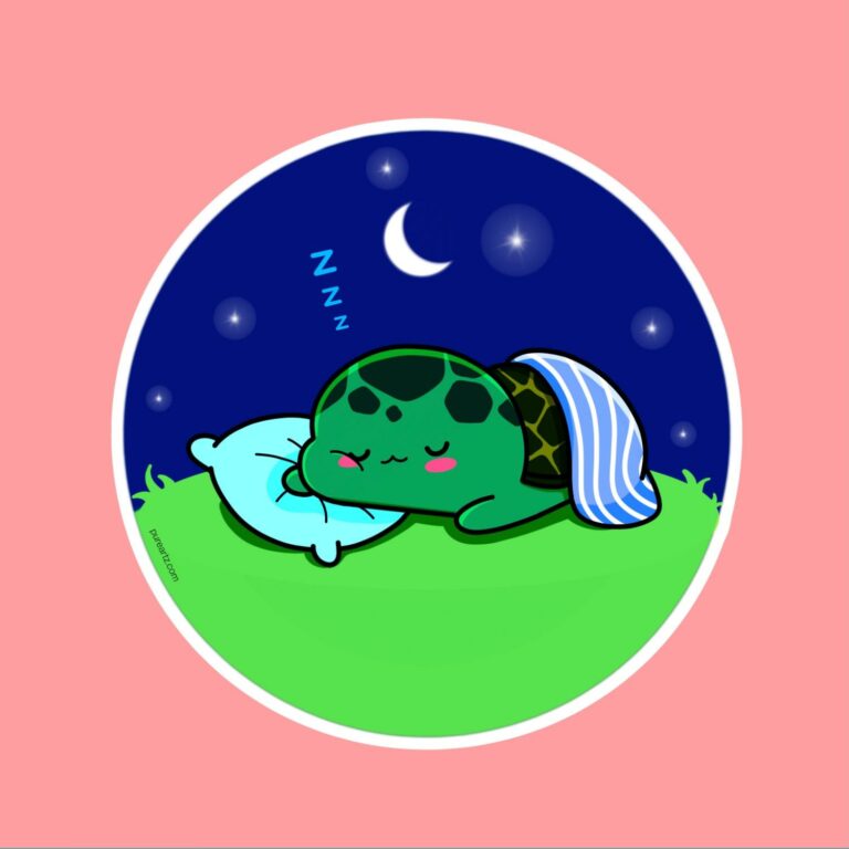 Chibi Tortoise-3 Sticker
